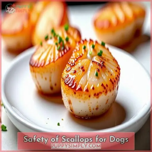 Safety of Scallops for Dogs