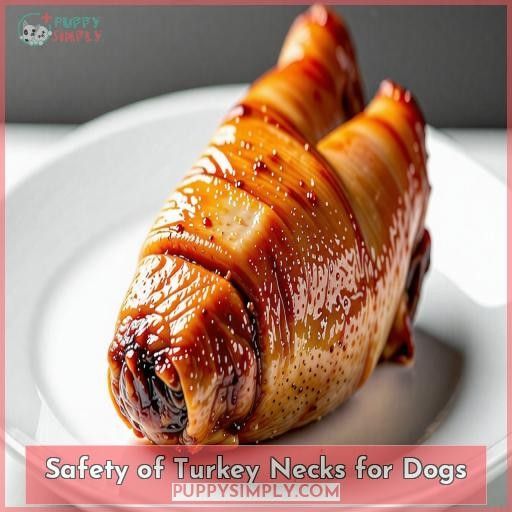 Safety of Turkey Necks for Dogs