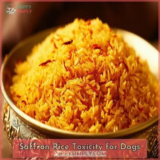 Saffron Rice Toxicity for Dogs