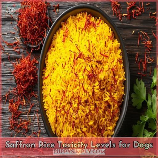Saffron Rice Toxicity Levels for Dogs