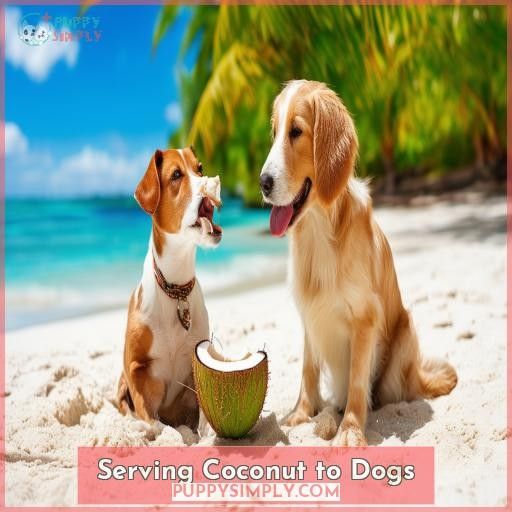 Serving Coconut to Dogs
