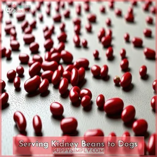 Serving Kidney Beans to Dogs