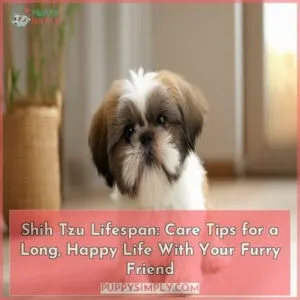 shihtzu lifespan