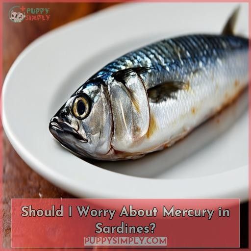Should I Worry About Mercury in Sardines