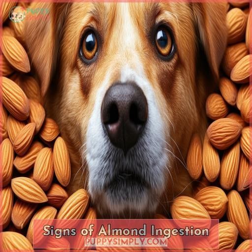 Signs of Almond Ingestion