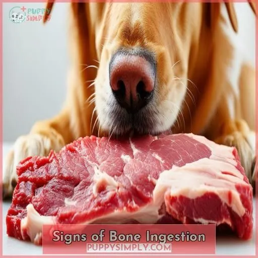 Signs of Bone Ingestion