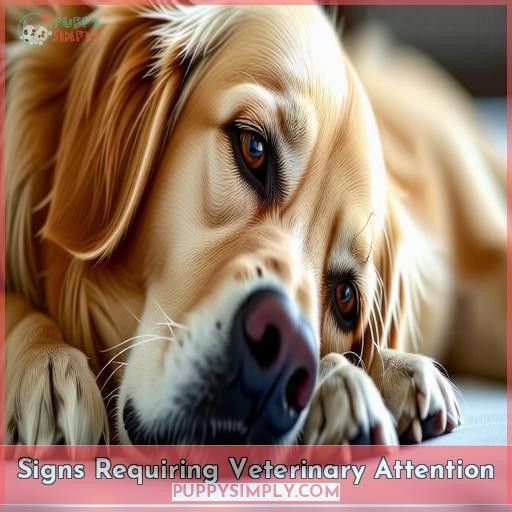 Signs Requiring Veterinary Attention