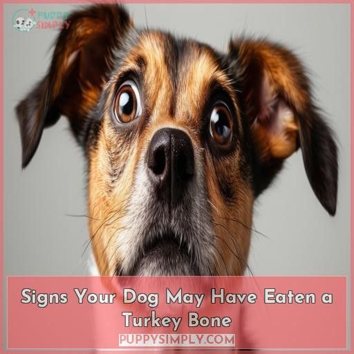 Signs Your Dog May Have Eaten a Turkey Bone