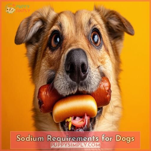 Sodium Requirements for Dogs