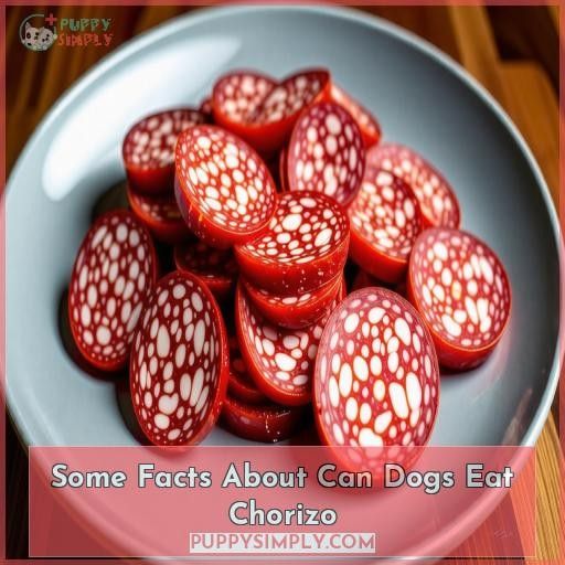 Some Facts About Can Dogs Eat Chorizo