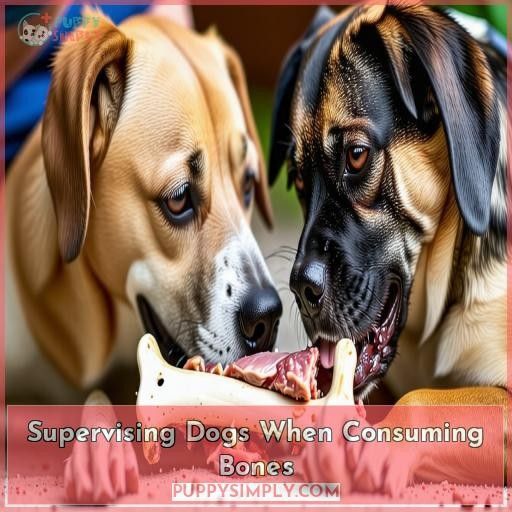 Supervising Dogs When Consuming Bones