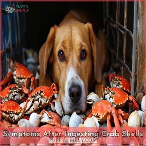 Symptoms After Ingesting Crab Shells