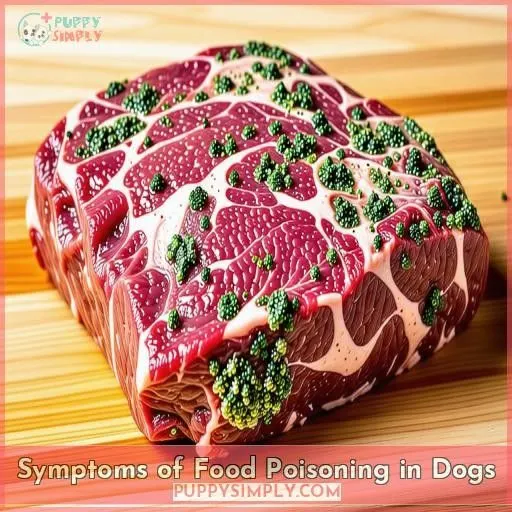 Symptoms of Food Poisoning in Dogs