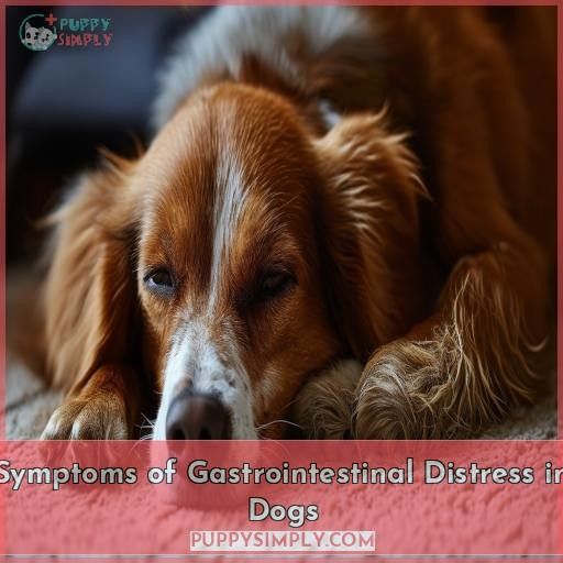 Symptoms of Gastrointestinal Distress in Dogs