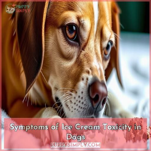 Symptoms of Ice Cream Toxicity in Dogs