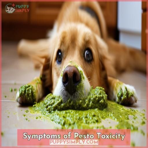 Symptoms of Pesto Toxicity