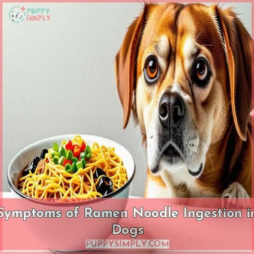 Symptoms of Ramen Noodle Ingestion in Dogs