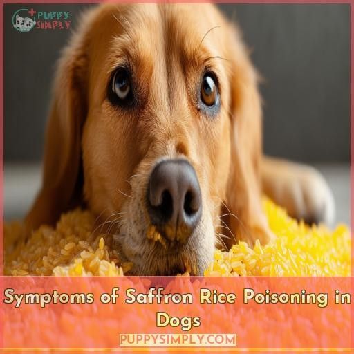 Symptoms of Saffron Rice Poisoning in Dogs