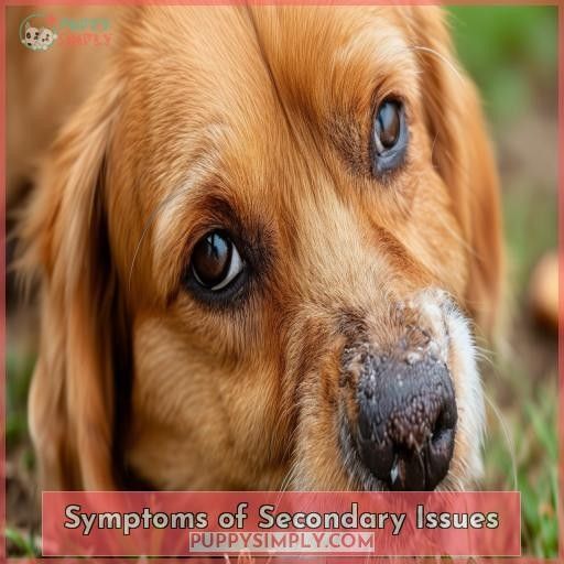 Symptoms of Secondary Issues
