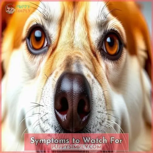 Symptoms to Watch For