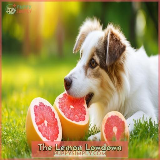 The Lemon Lowdown