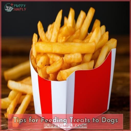 Tips for Feeding Treats to Dogs