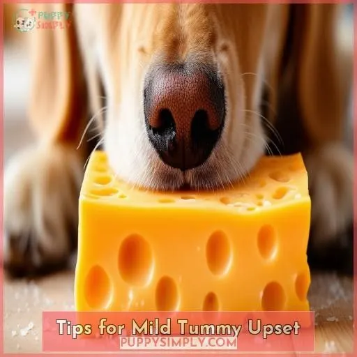 Tips for Mild Tummy Upset