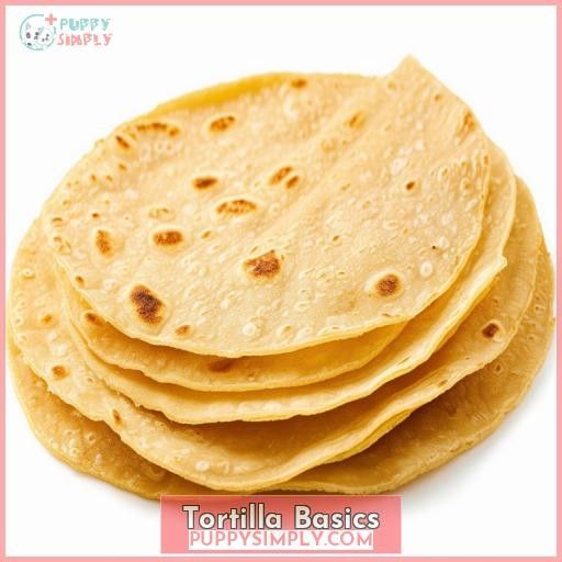 Tortilla Basics