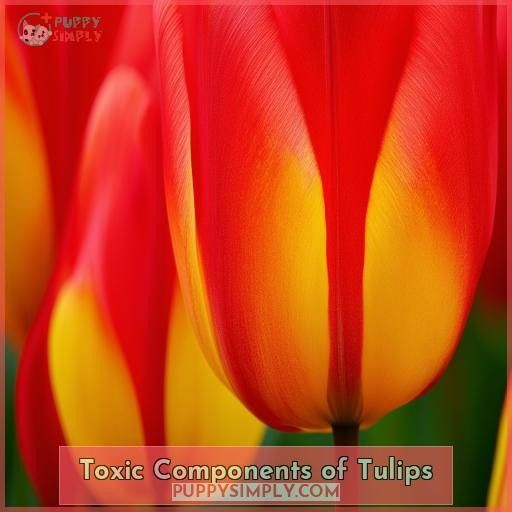 Toxic Components of Tulips