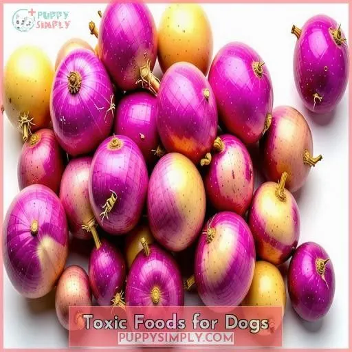 Toxic Foods for Dogs