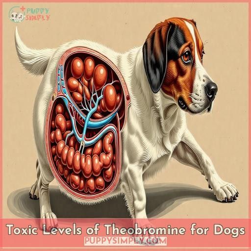 Toxic Levels of Theobromine for Dogs