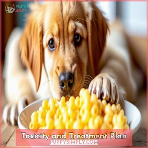 Toxicity and Treatment Plan