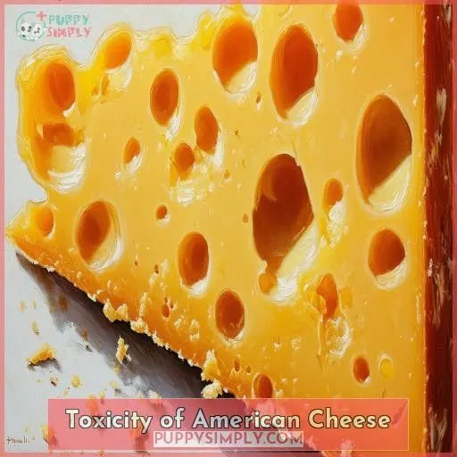 Toxicity of American Cheese