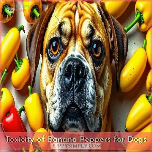 Toxicity of Banana Peppers for Dogs
