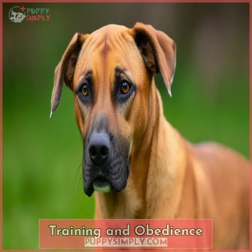 Training and Obedience