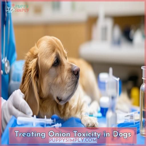 Treating Onion Toxicity in Dogs