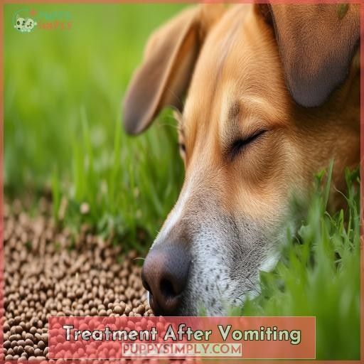 Treatment After Vomiting