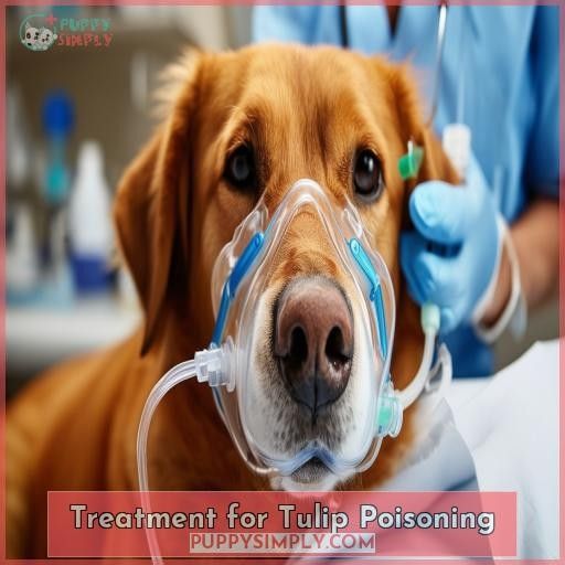 Treatment for Tulip Poisoning