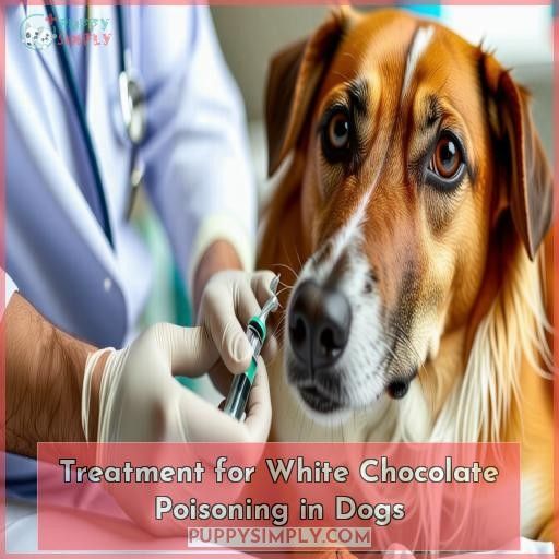 Treatment for White Chocolate Poisoning in Dogs