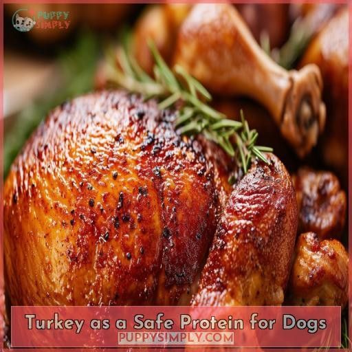 Turkey as a Safe Protein for Dogs