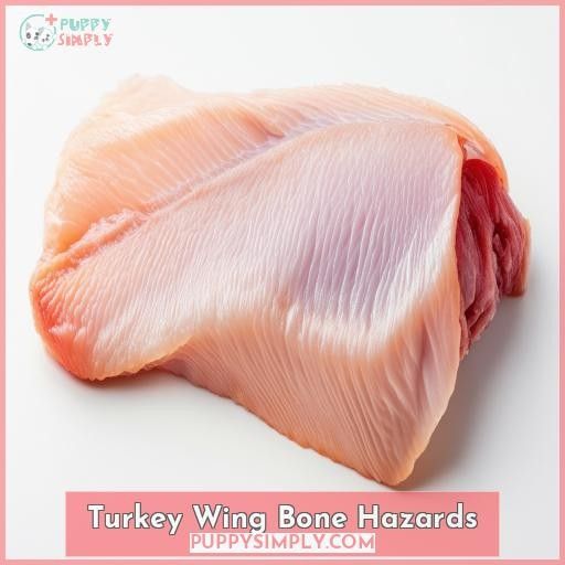 Turkey Wing Bone Hazards