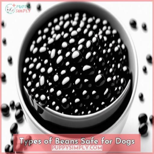 Types of Beans Safe for Dogs
