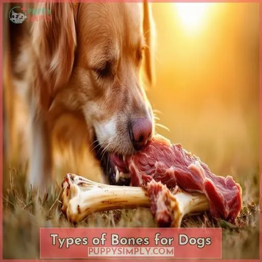 Types of Bones for Dogs