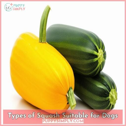 Types of Squash Suitable for Dogs