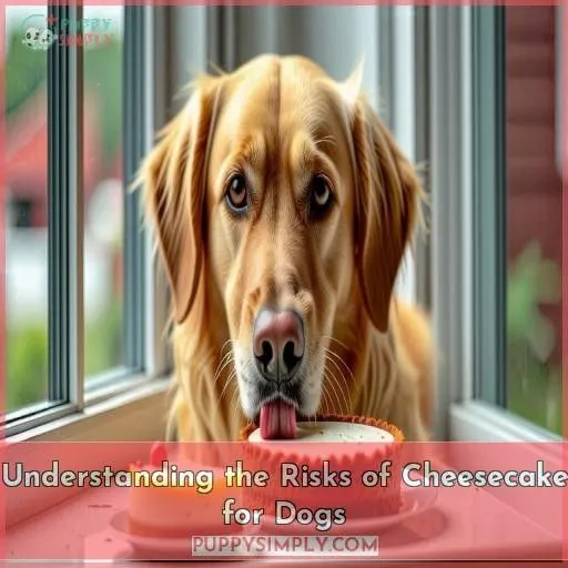 Understanding the Risks of Cheesecake for Dogs