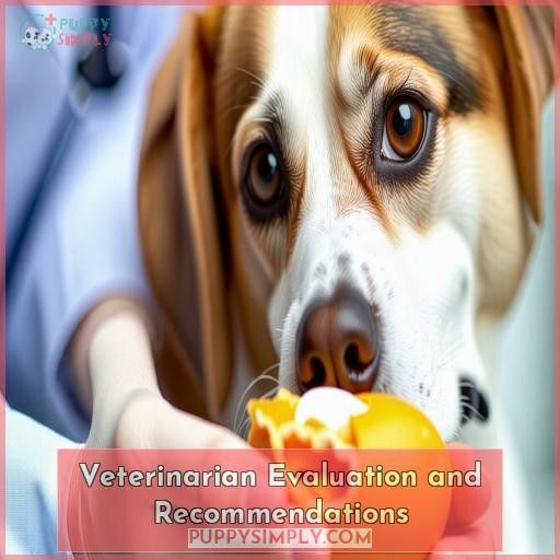 Veterinarian Evaluation and Recommendations