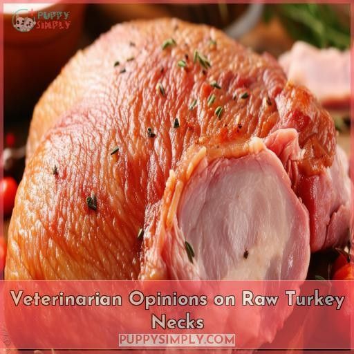 Veterinarian Opinions on Raw Turkey Necks