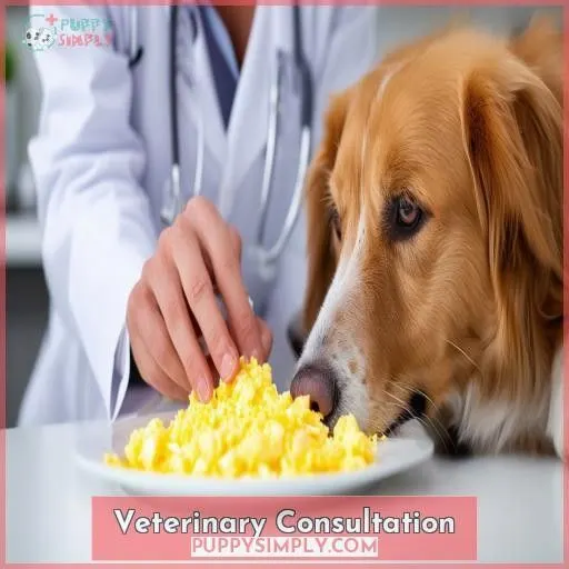 Veterinary Consultation