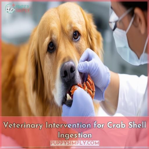 Veterinary Intervention for Crab Shell Ingestion
