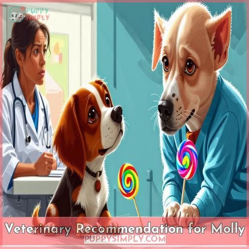 Veterinary Recommendation for Molly